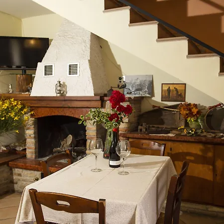 La Contessa Quarter Horse