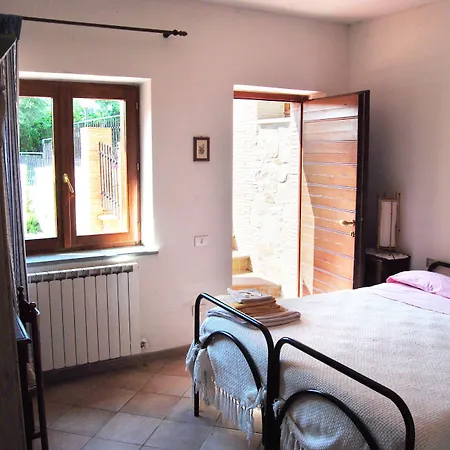 La Contessa Quarter Horse 3*