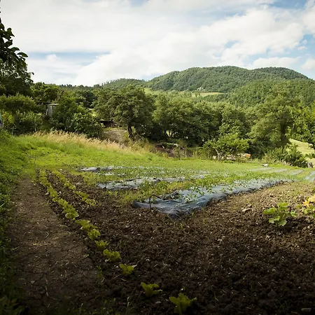 La Contessa Quarter Horse 호텔 3*