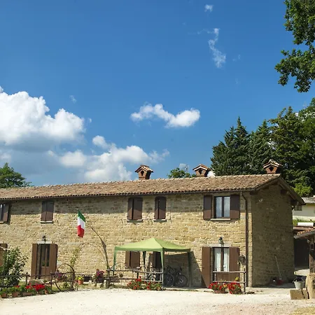 La Contessa Quarter Horse 3*