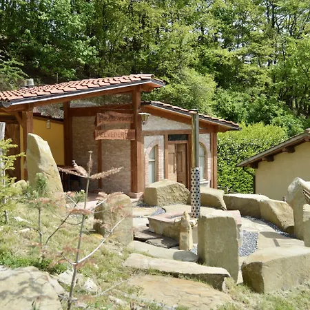 La Contessa Quarter Horse