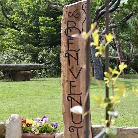 La Contessa Quarter Horse 호텔