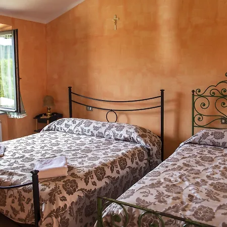 La Contessa Quarter Horse