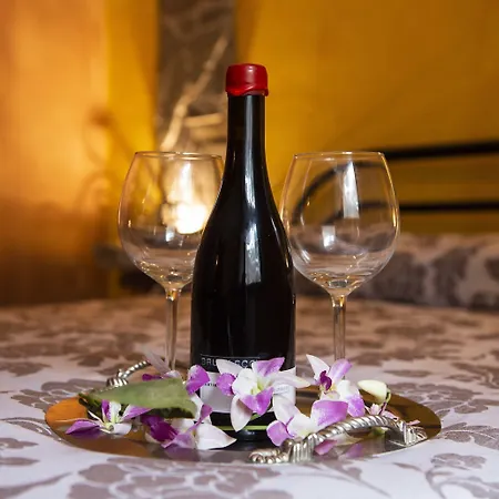 La Contessa Quarter Horse